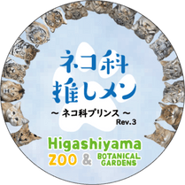 �ޥ����󥰥ơ��ס��ͥ��ʥץ�� Ver.3