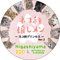 �ޥ����󥰥ơ��ס��ͥ��ʥץ�󥻥� Ver.3