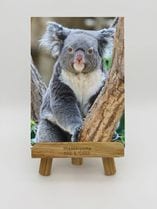 動物で探す,コアラ | おもむきストア