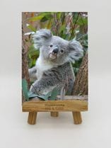 動物で探す,コアラ | おもむきストア