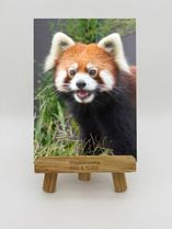 ZOO �����Х�-011������ʥ�å����ѥ����