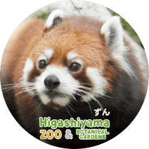 ZOO BADGE-087������ʥ������å����ѥ����