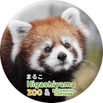ZOO BADGE-088���ޤ뤳�ʥ������å����ѥ����