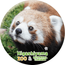 ZOO BADGE-089����ʥ������å����ѥ����