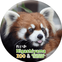 ZOO BADGE-090���줤���ʥ������å����ѥ����