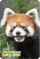 ZOO �ѥͥ�ޥ��ͥå�-057������ʥ�å����ѥ����