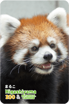 ZOO �ѥͥ�ޥ��ͥå�-058���ޤ뤳�ʥ�å����ѥ����