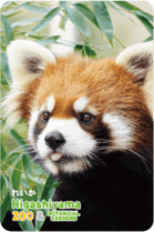 ZOO �ѥͥ�ޥ��ͥå�-060���줤���ʥ�å����ѥ����