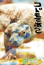 �ݤ��ޡ�����ɥ����ȥ����֥��ɥ�Ƥ��ơ�