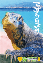 �ݤ��ޡ�����ɥ����ȥ����֤Ƥ�����礦��