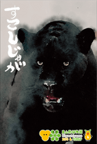 �ݤ��ޡ����㥬���֤��������㤬��