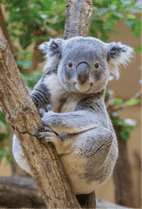 すべての商品 | おもむきストア