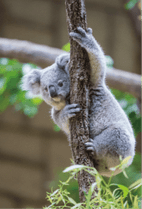 すべての商品 | おもむきストア