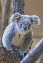 すべての商品 | おもむきストア