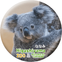 ZOO BADGE-037���ʤʤߡʥ������