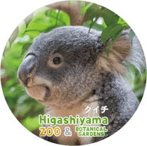 ZOO BADGE-041���������ʥ������