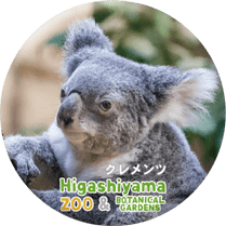 ZOO BADGE-049��������ġʥ������