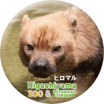 ZOO BADGE-098���ҥ��ޥ�ʥ�֥��̡�