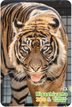 ZOO �ѥͥ�ޥ��ͥå�-046���Х�ʥ��ޥȥ�ȥ��
