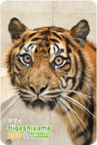 ZOO �ѥͥ�ޥ��ͥå�-056�����ޥ��ʥ��ޥȥ�ȥ��