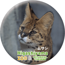 ZOO BADGE-016���ॵ���ʥ����Х��