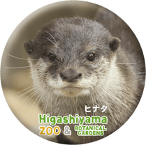 ZOO BADGE-018���ҥʥ��ʥ��ĥᥫ�復����