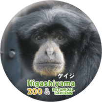 ZOO BADGE-028���������ʥե����ƥʥ������