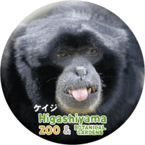 ZOO BADGE-029���������ʥե����ƥʥ������