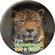 ZOO BADGE-030���������ʥ��㥬����