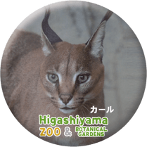 ZOO BADGE-032��������ʥ��饫���