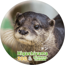 ZOO BADGE-048���ɥ�ʥ��ĥᥫ�復����