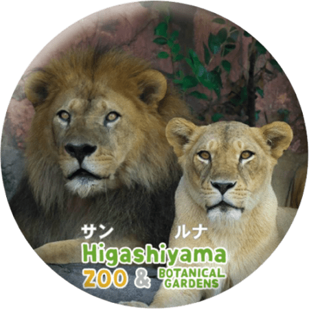 ZOO BADGE-063������&��ʡʥ饤�����