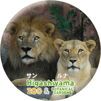 ZOO BADGE-063������&��ʡʥ饤�����