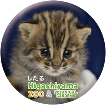 ZOO BADGE-079��������ʥĥ��ޥ�ޥͥ���