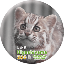 ZOO BADGE-080��������ʥĥ��ޥ�ޥͥ���