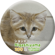 ZOO BADGE-081�����祸�㡼�ʥ��ʥͥ���