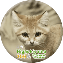 ZOO BADGE-082�������ʥ��ʥͥ���