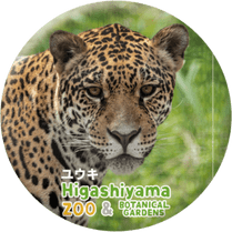 ZOO BADGE-092���楦���ʥ��㥬����