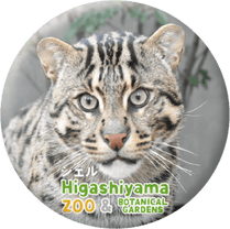 ZOO BADGE-094��������ʥ��ʥɥ�ͥ���