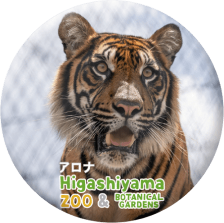 ZOO BADGE-096�������ʡʥ��ޥȥ�ȥ��