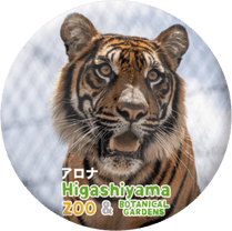 ZOO BADGE-096�������ʡʥ��ޥȥ�ȥ��