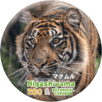 ZOO BADGE-097���ޥ����ʥ��ޥȥ�ȥ��