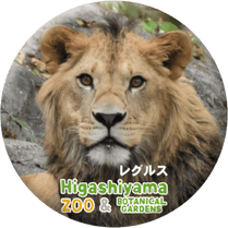 ZOO BADGE-099���쥰�륹�ʥ饤�����