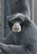 ZOO �ݥ��ȥ�����-056���������ʥե����ƥʥ�����ˡ��������դ�