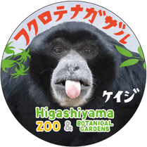 �ޥ����󥰥ơ��ס��ե����ƥʥ�����