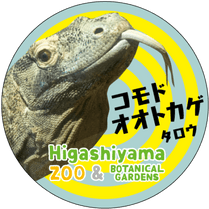 �ޥ����󥰥ơ��ס�����ɥ����ȥ���