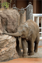 ZOO �ݥ��ȥ�����-036��������ʥ�����������