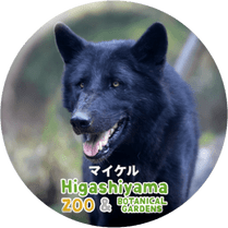 ZOO BADGE-011���ޥ�����ʥ����󥪥����ߡ�