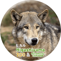 ZOO BADGE-031���ҥ���ʥ����󥪥����ߡ�