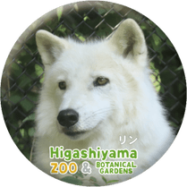 ZOO BADGE-054�����ʥ����󥪥����ߡ�